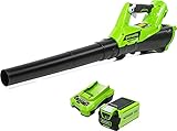 Greenworks G40ABK2 Soplador de Hojas a Batería Axial, con Control de Crucero, 177 km/h, 11,05 m³/min, Batería de 40V 2Ah y Cargador, Garantía de 3 Años