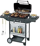 Campingaz Texas Revolution S - Barbacoa a Gas para Piedra Lava, 2 Quemadores Compactos, Quemador lateral, 8.2 kW, Parrillas Hierro Fundido, Mesas Laterales y Carro de Acero, Gris, 80x33.5x40 cm