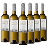 Bach Chardonnay - Vino Blanco, 100% Chardonnay - Caja 6 botellas 75cl